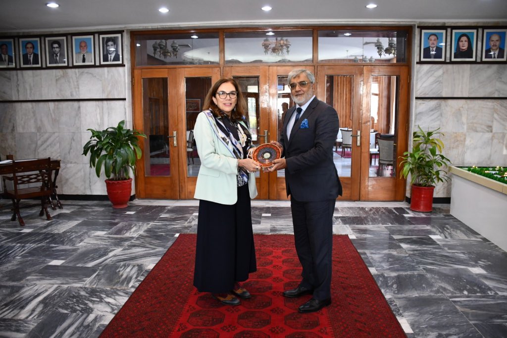 EUPakistan's tweet photo. “The better we understand each other the better we can collaborate” Amb. @AKaminara presented structures and ways of working of European Union institutions to mid-service diplomats at the Foreign Services Academy. Interesting discussion on 🇪🇺🇵🇰 relations. #EUPak https://t.co/qojl1u2yFE