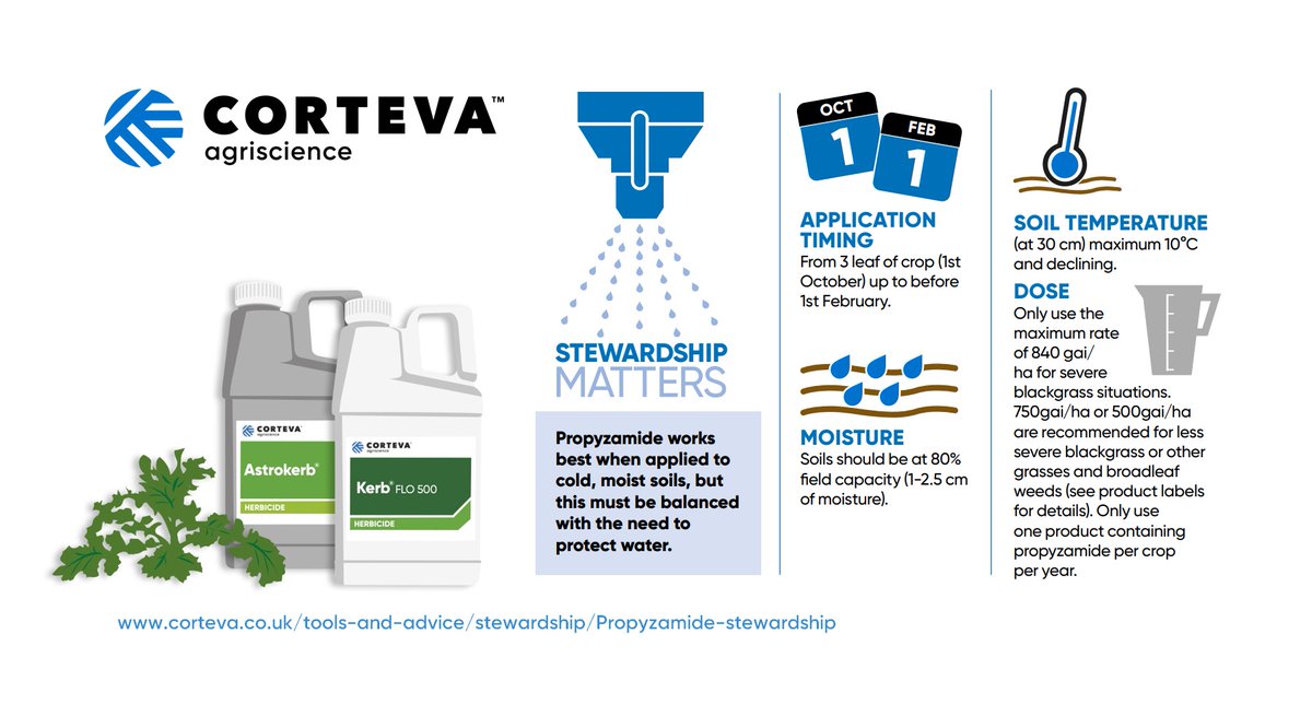 CortevaUK's tweet photo. Don’t forget, Corteva products containing propyzamide must be applied to OSR by 31 January. #Astrokerb #Kerb.
Before application, remember to check the weather forecast & individual field conditions.
🌐 Find out more about #OSR herbicide #stewardship ➡️ https://t.co/iOhdyVJ0Fd https://t.co/hRnqMHsqAF
