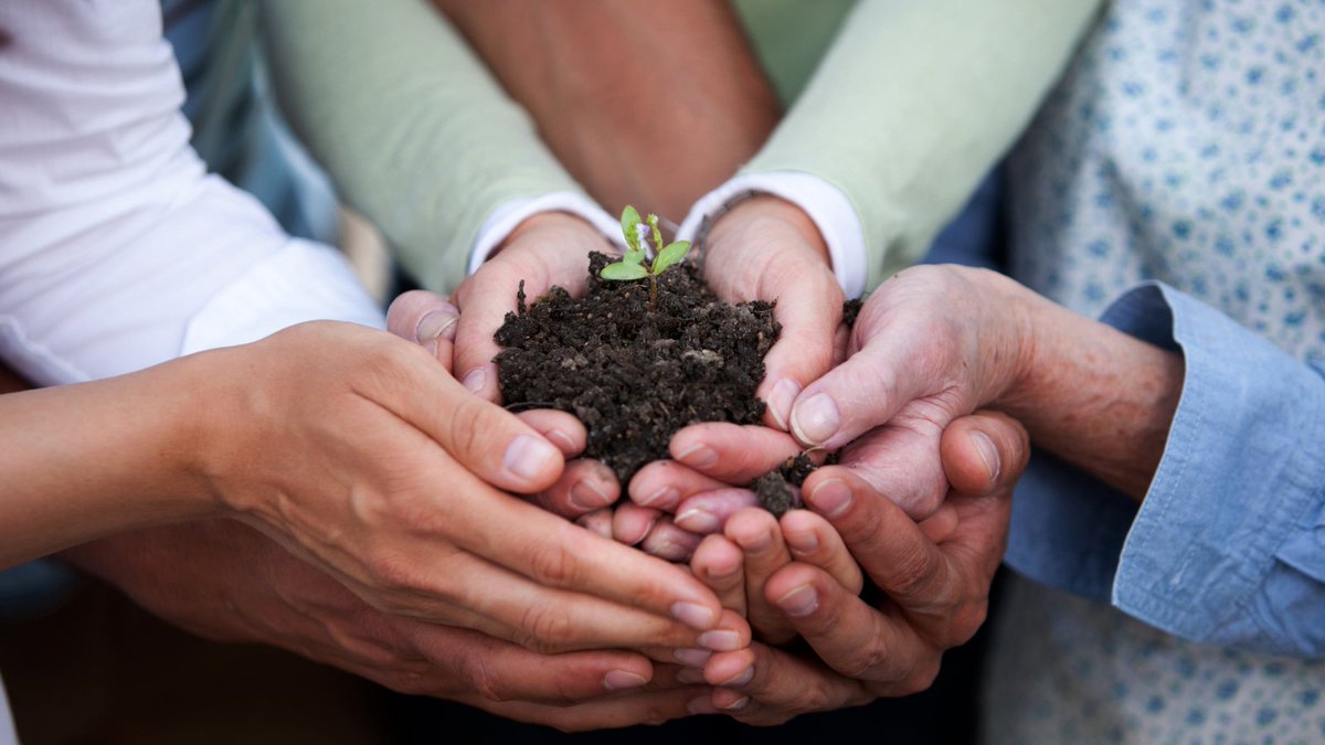 UkSoil's tweet photo. #FridayFocus on #compost.  Our #SafeSoilUK 'Compost Focus' screen checks for the presence of #Aminopyralid, #Clopyralid &amp; #Triclopyr in #soil, #compost, or #manure to help UK #growers ensure their crops are safe from these extremely effective #herbicides
https://t.co/hGWCMyAPdV https://t.co/5N2GXF4E7W