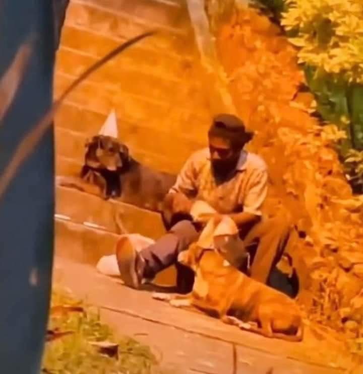 hanletlamacana's tweet photo. ¡FINAL FELIZ PARA CHOCO!
El joven en situación de calle que se viralizó en las redes tras celebrar el cumpleaños de sus perritos, recibió cientos de ayudas pa mejorar la calidad de vida de él y sus caninos. Fue acogido en un hogar, donde podrá vivir seguro y cómodo. DIOS ES BUENO https://t.co/xdLvbwDYiq