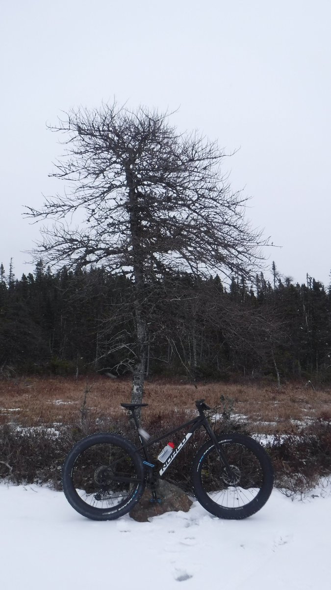 went for a 13.5 kilometer Ride. strava.com/activities/651… #strava