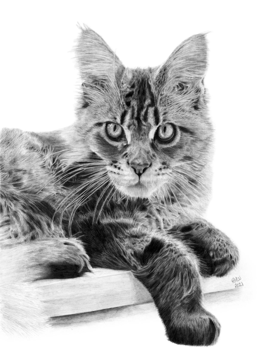 Ruth Walker Art & Photography 💙 tweet media
