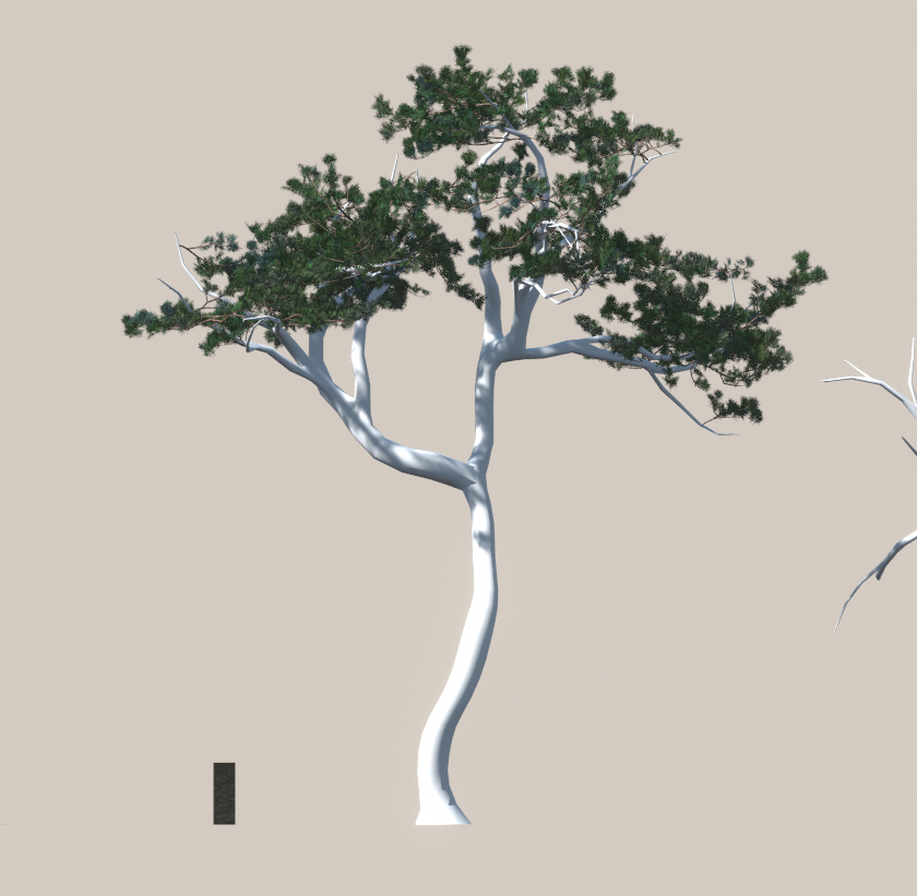 studioVMP's tweet photo. Branches test. I had those prepared earlier for the previous versions of the assets and they will do just fine (just pine? Sorry about that). Decided to go with #mtree geo-nodes leaf system that I tweaked a bit. Excited! https://t.co/hD9wlflJxT