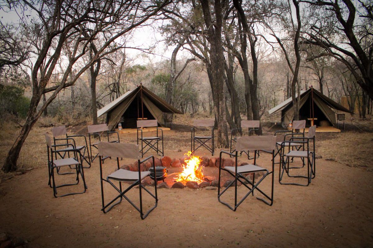 FootSafaris's tweet photo. A new dedicated trails camp has opened in @SomkhandaKZN with trails led by @bhejane_nature 
It's the only private dedicated trails camp in KZN 👏

Read more in the latest news blog 👉https://t.co/0HbMN9AEc8

#walkingsafaris #kzn #somkhanda https://t.co/WjRxTCHDAU