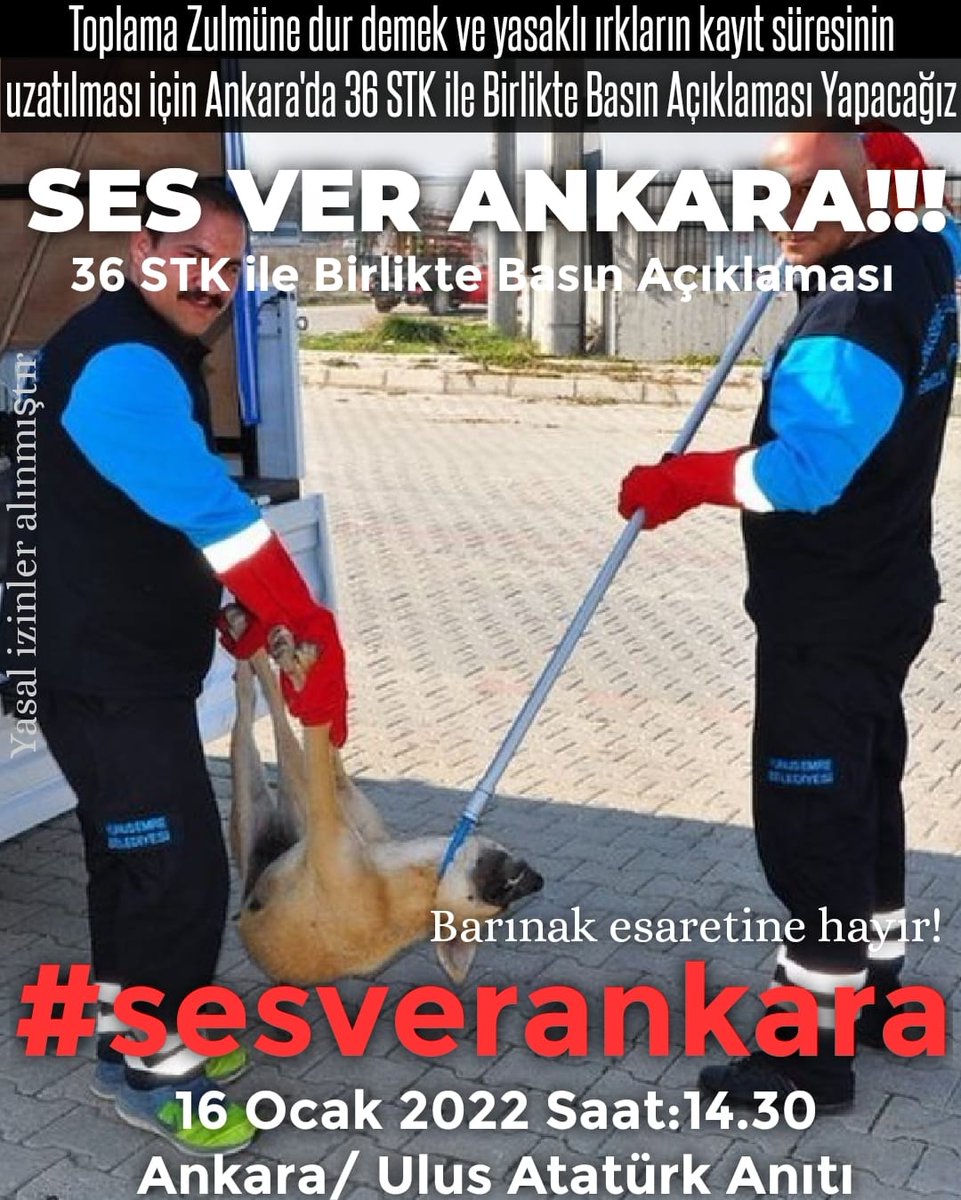 Onlar bunu haketmiyor !!!!
#sesverankara