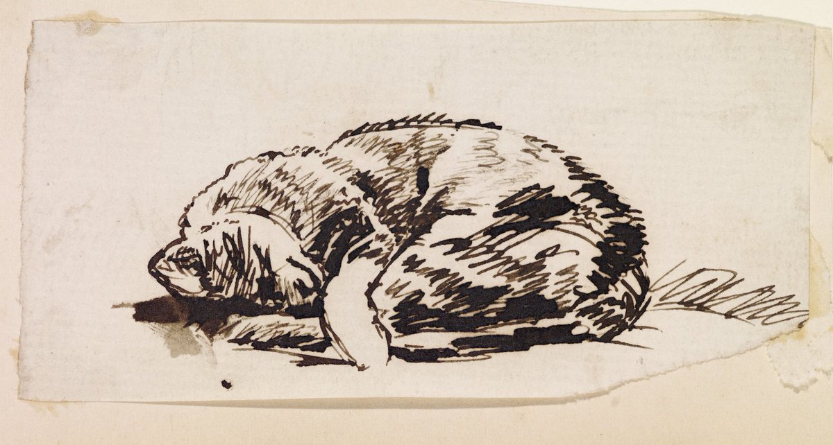 BMAGimages's tweet photo. It is going to be another cold night, I'm planning to settle in for the evening, curl up in front of the fire and fall asleep! #FridayNightGoals

Study of a Sleeping Cat by William Holman Hunt. https://t.co/wwmiEI5LSW