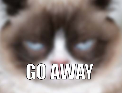 Grumpy_Coin's tweet image. 