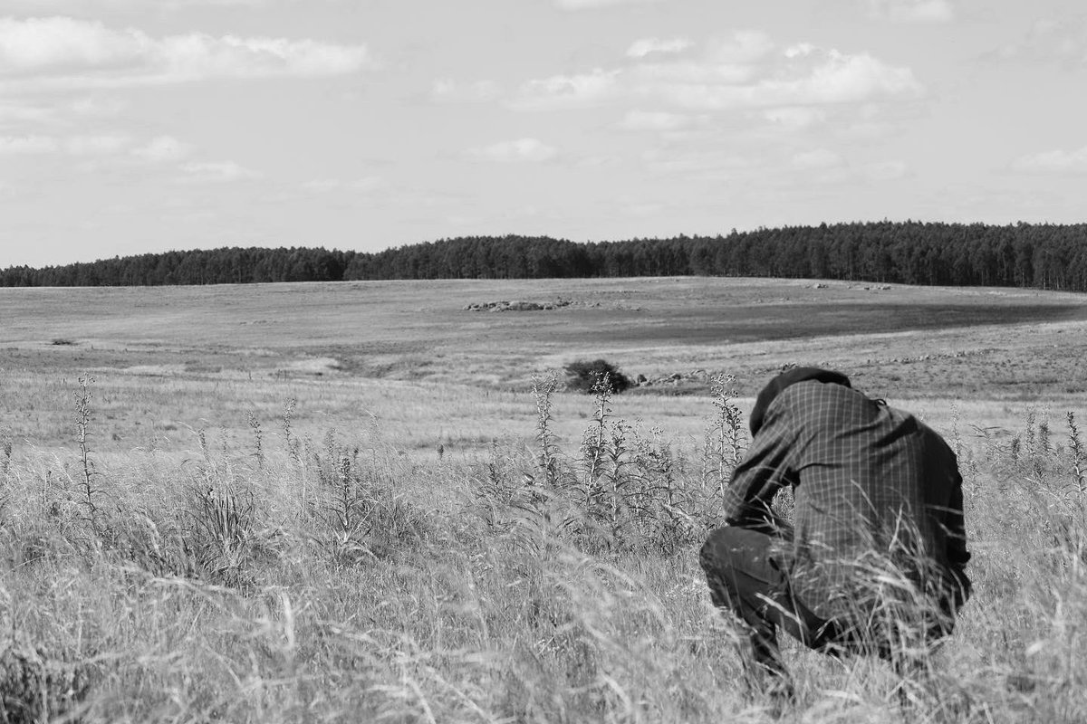 Pampa Oriental tweet media