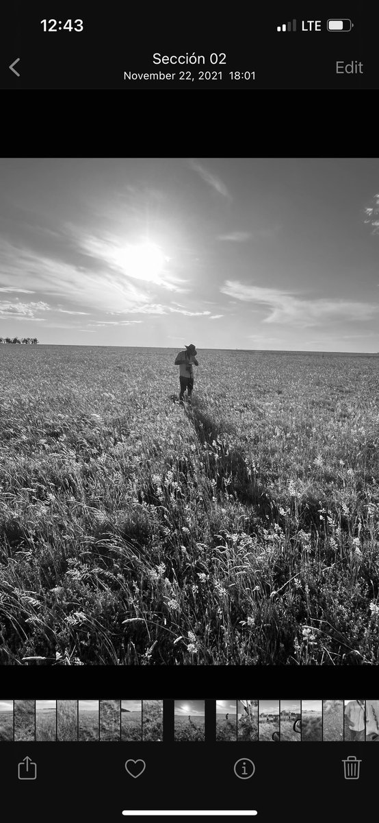 Pampa Oriental tweet media