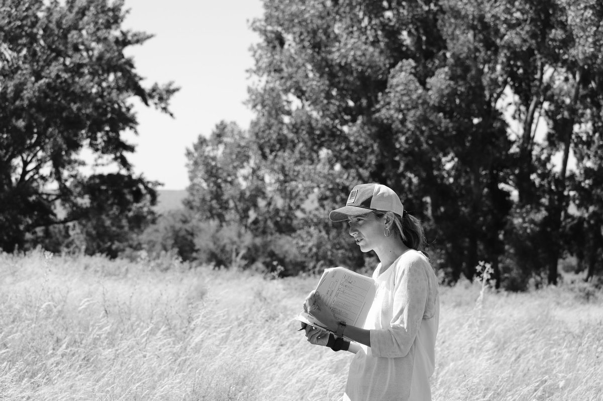 Pampa Oriental tweet media