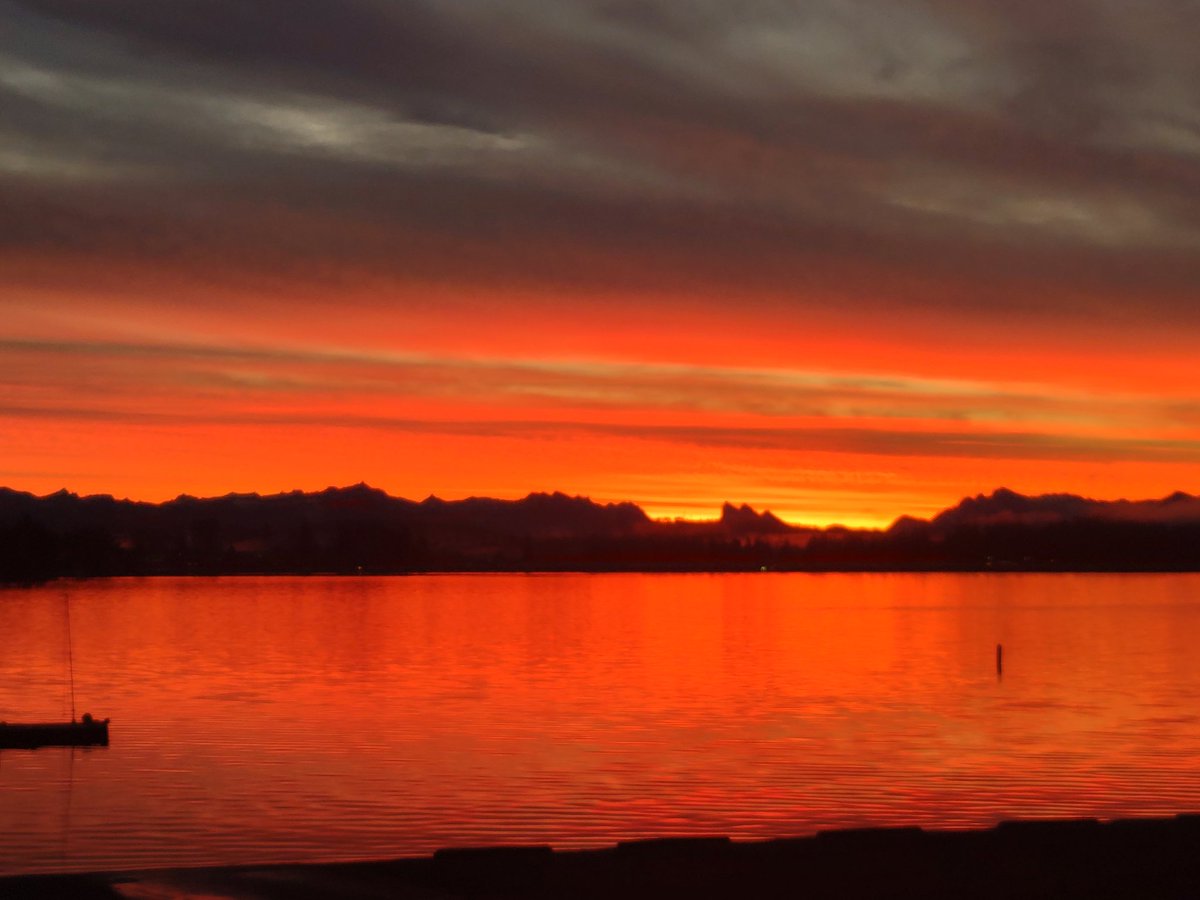 Can't get enough of these sunrises on the water🥰🌞🧡❤️💛
#lakestevens #Washingtonsunrise