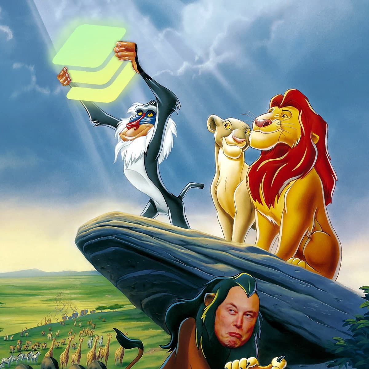 Fuse Network tweet media