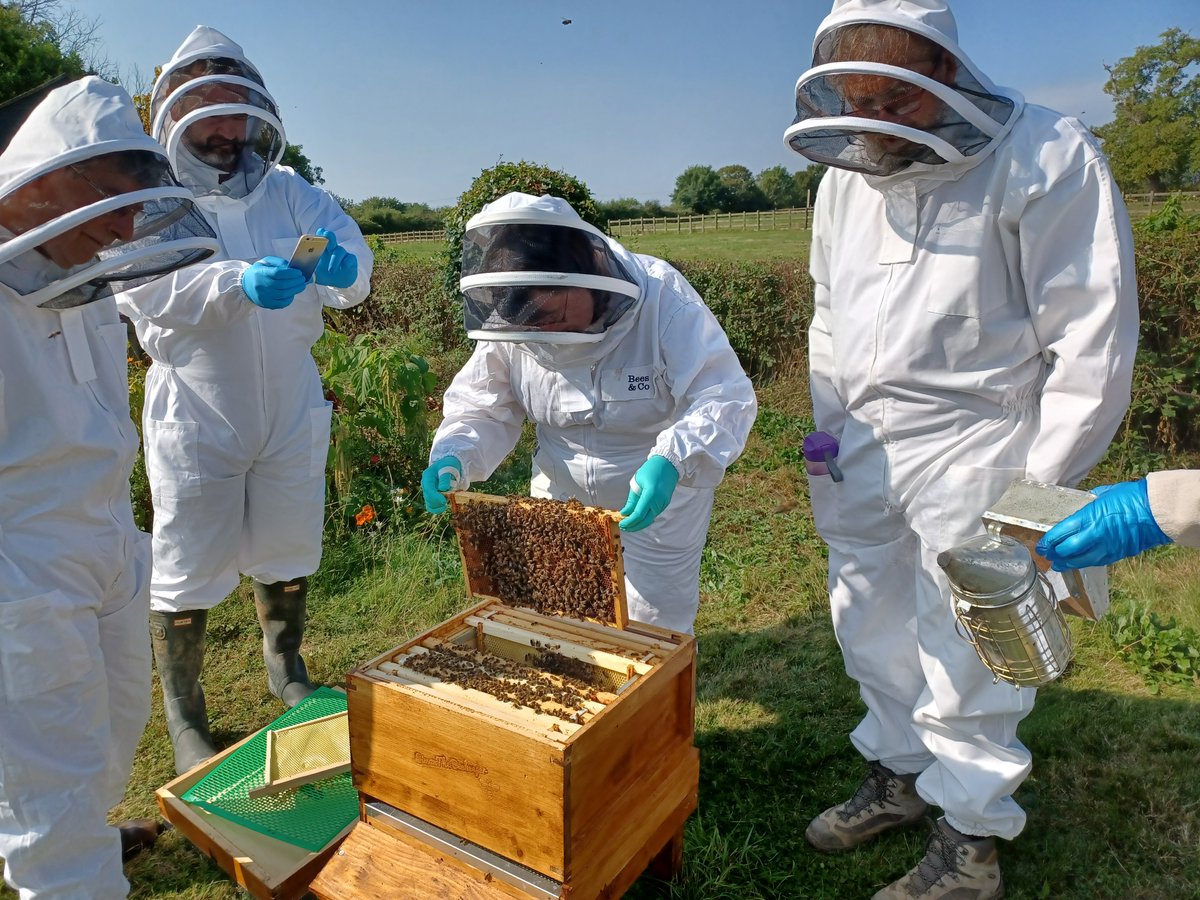 Wings & Radicles tweet media