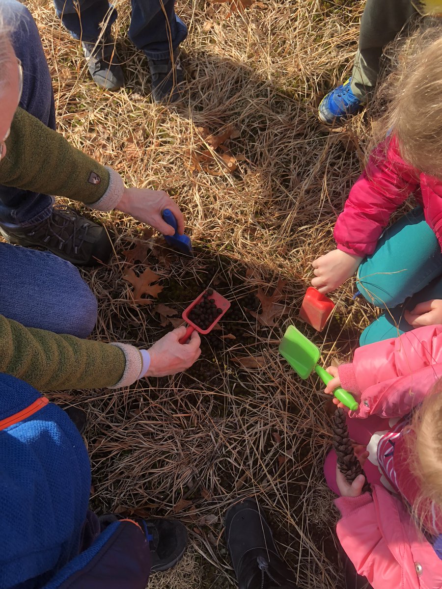 PSNE_Inc's tweet photo. LAST CHANCE to sign up for our MLK Day Drop-Off Program this Monday, 1/17! We'll be learning all about the animals that are out &amp; about in this wintry weather ❄️ https://t.co/SremSwCUf9 https://t.co/Rv1XMIWh9t