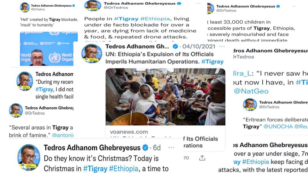 ETEmbassyJIB's tweet photo. .@DrTedros is abusing his position @WHO acting as the Mouthpiece of #TPLF

The More than 30 disinformation tweets from his account about tigray region in < a year is EXHIBIT A. A stark contrast to the attention he paid to the #TPLF-caused humanitarian crises in #Amhara &amp; #Afar https://t.co/ImgY7B8M8b