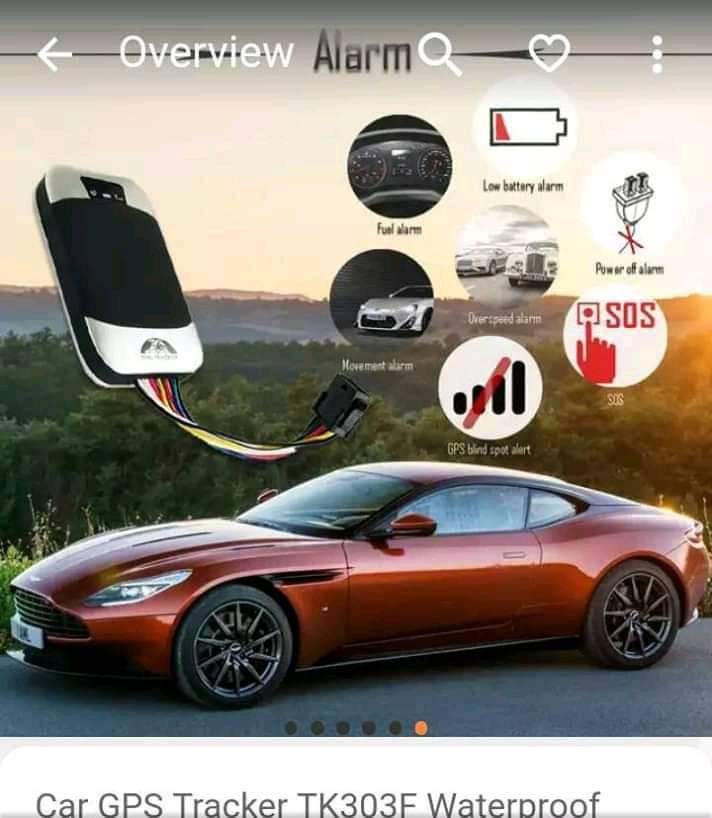 King Tochi tweet media