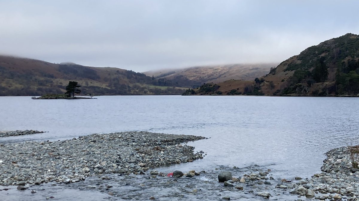 herdwick_gal's tweet photo. Been for a little pootle over to Glenridding to spend Christmas pennies, lovely to chat G enjoy the Limoncello cake https://t.co/eeAHXCBxlQ