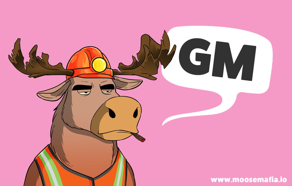 Moose Mafia tweet media
