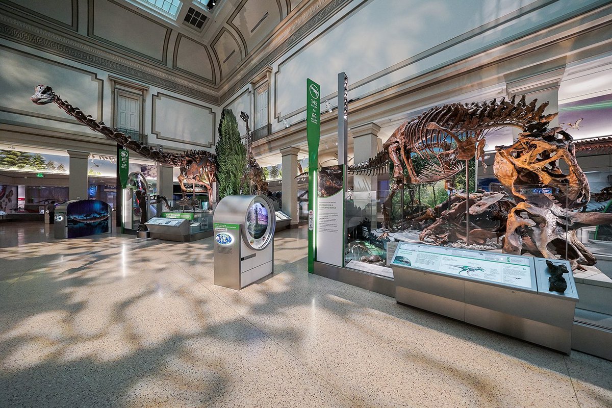 Color image of two-story museum hall showing fossil specimens, in the foreground is the T. rex feasting on a triceratops.  
