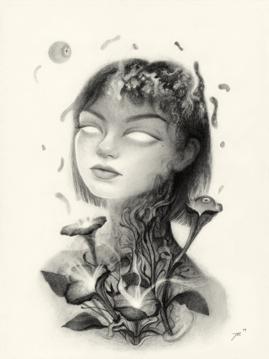 Solana Auctions tweet media