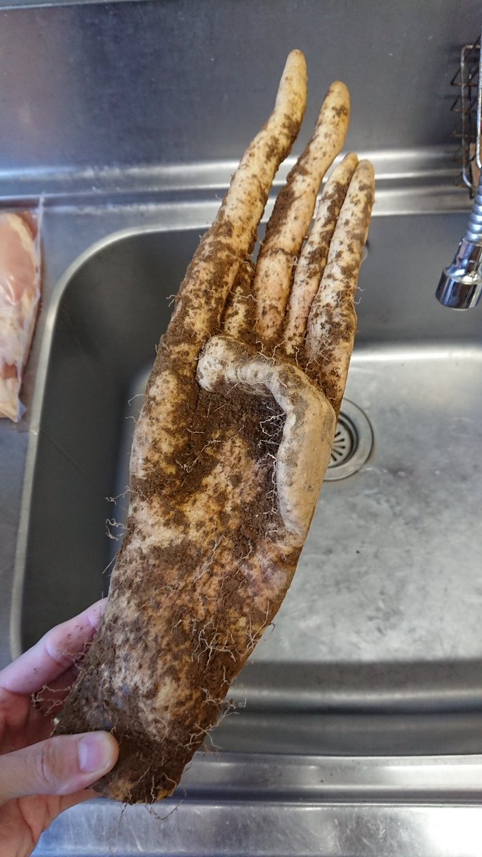 ZachBurrell10's tweet photo. The Yam of Vecna #dnd https://t.co/8HUSbfNGSH