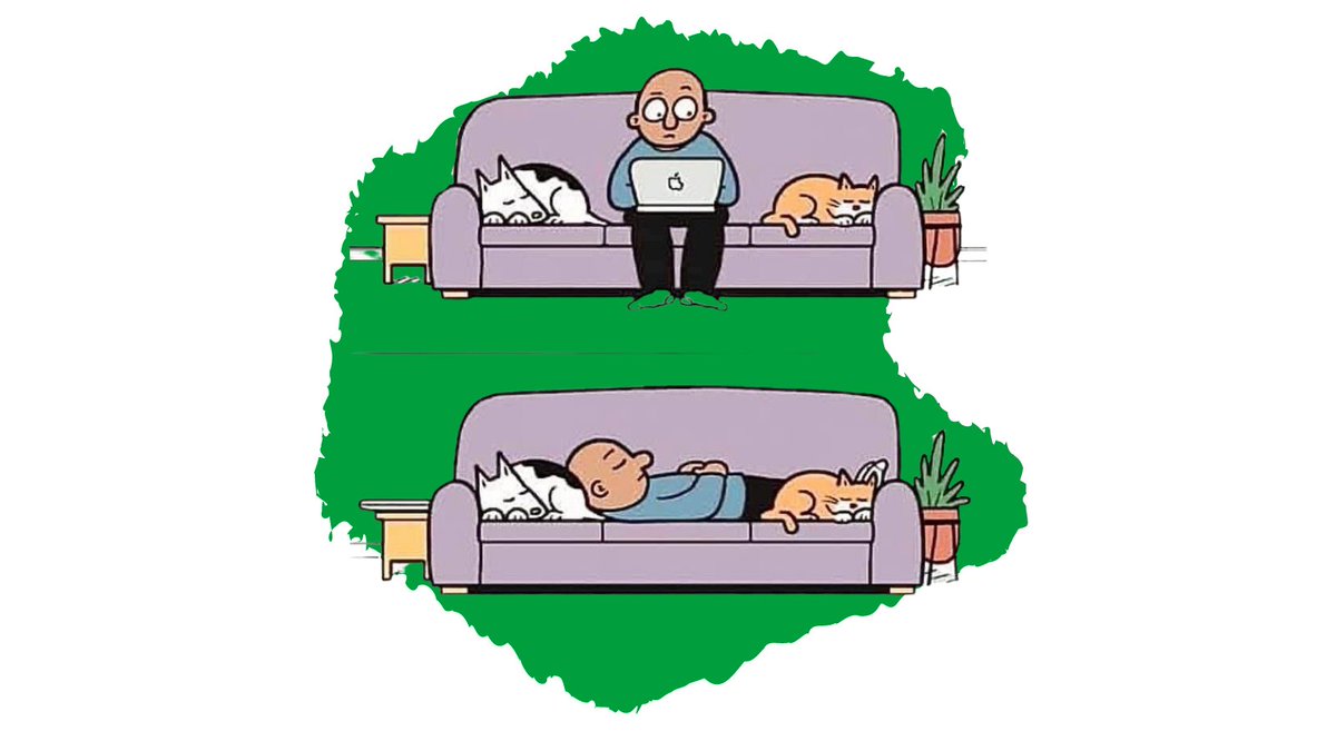 The struggle is real when your work from home set up looks like this 😴🐈🐕

#workingfromhome #WFH #cosysetup #sleepy