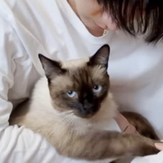 LL_Protect's tweet image. เกียมจดชื่ออุนยายทิ่ชอบแก้งพิ/จ​้อง