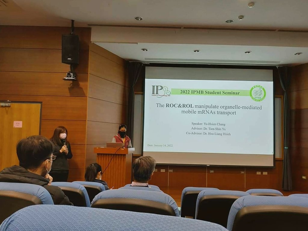 TsyLab's tweet image. Our PhD. candidate, Ms. Chang, had finished her first student seminar in IPMB🎉
She had presented an interesting story about how ROC and ROL help mobile mRNA transport to plasmodesmata!
#RockandRoll
#RNABindingProtein
#MobilemRNA 
#CellBiology