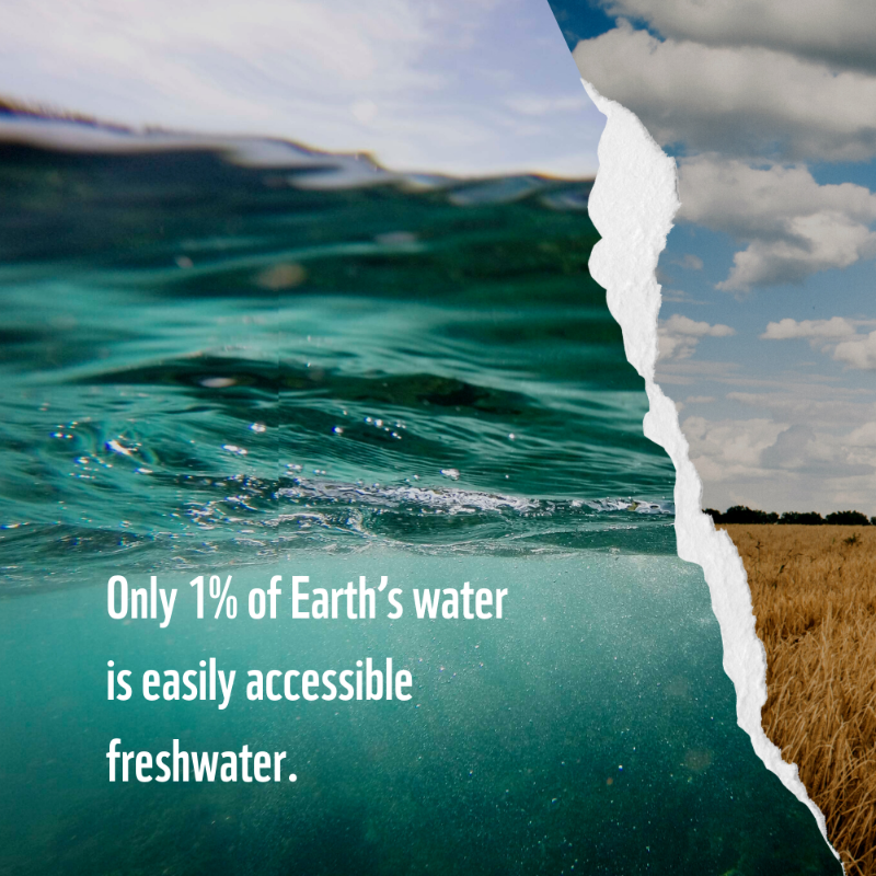 WWF's tweet photo. The mighty mushroom only uses 15 litres of water for every kilogram grown! On the other hand, producing 1 kg of beef requires a whopping 15,000 litres.

Swap out one meat meal this week with one of our planet-friendly mushroom recipes: https://t.co/c2rSWQY8tR #PlanetBasedDiet