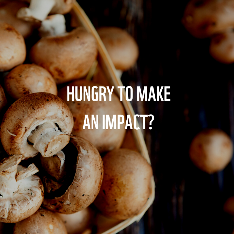 WWF's tweet photo. The mighty mushroom only uses 15 litres of water for every kilogram grown! On the other hand, producing 1 kg of beef requires a whopping 15,000 litres.

Swap out one meat meal this week with one of our planet-friendly mushroom recipes: https://t.co/c2rSWQY8tR #PlanetBasedDiet