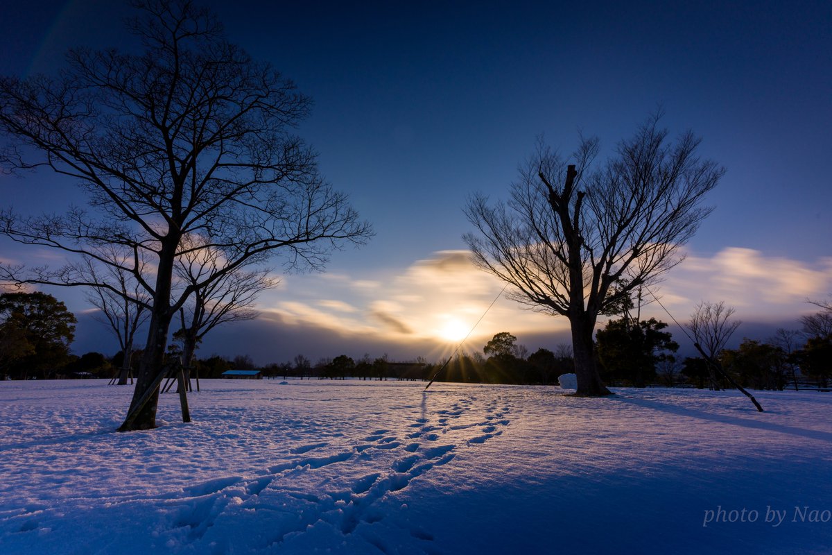 降雪量…去年が少なすぎたのか、今年が多いのか( ´_ゝ`) 今年は雪かきグッズ大活躍😂