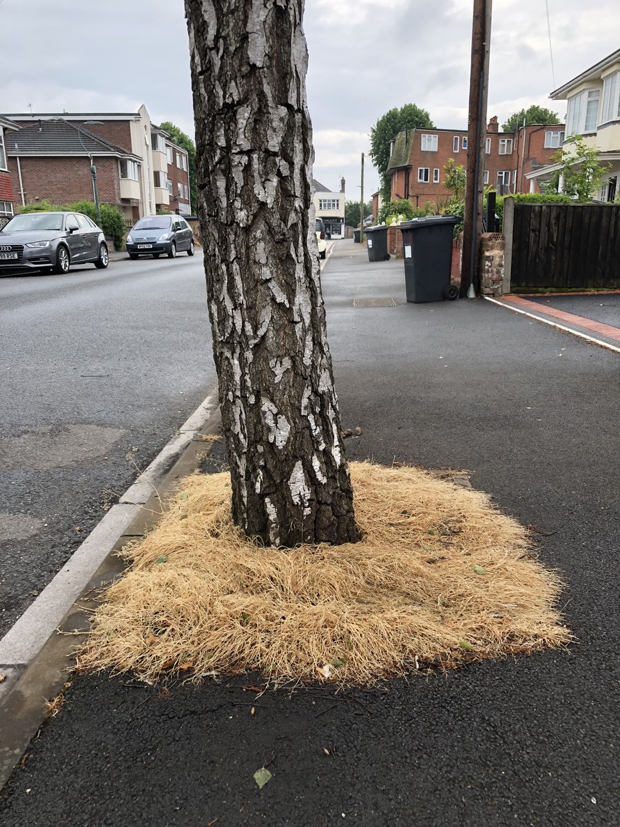 Dave Goulson (@davegoulson) on Twitter photo #BanUrbanPesticides 
Only 12 days to go - please sign this petition if you'd like pesticide use to be banned in urban areas. It is needless, ugly, destructive & dangerous.   
Pls RT
petition.parliament.uk/petitions/5903…
@PAN_UK #BanUrbanPesticides 
Only 12 days to go - please sign this petition if you'd like pesticide use to be banned in urban areas. It is needless, ugly, destructive & dangerous.   
Pls RT
petition.parliament.uk/petitions/5903…
@PAN_UK