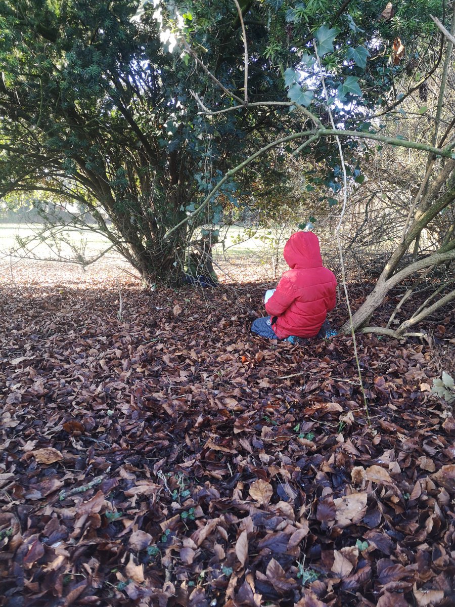 Burwell House tweet media