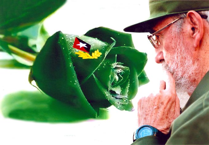 ESanchezcub's tweet photo. #TeloDigoEnVerso🌵
En cada día q pasa
estás presente #Fidel,
en cada cubano fiel
pones tu moral coraza.
Eres huracán q arrasa
con toda desigualdad,
eres luz de libertad
y faro d independencia,
eres un hombre d ciencia,
y sobre todo, bondad.
#Cuba @DiazCanelB #CubaVive @MarkPupo1 https://t.co/Fg0qOAON9t