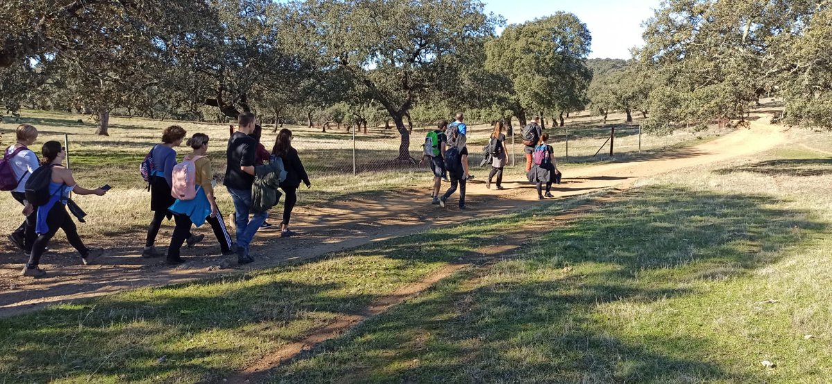 IMD Sevilla tweet media