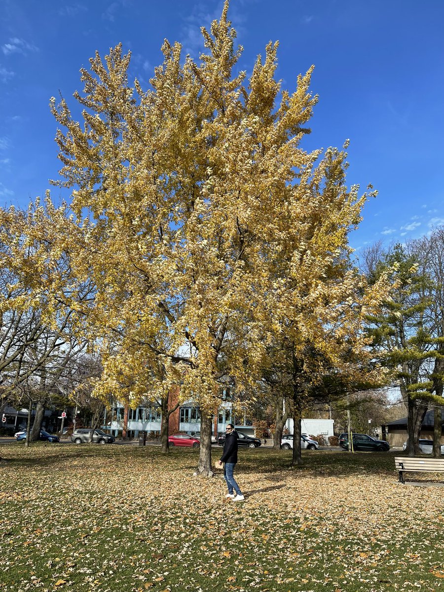 Elias Nemeh (@eliasnemeh) on Twitter photo 