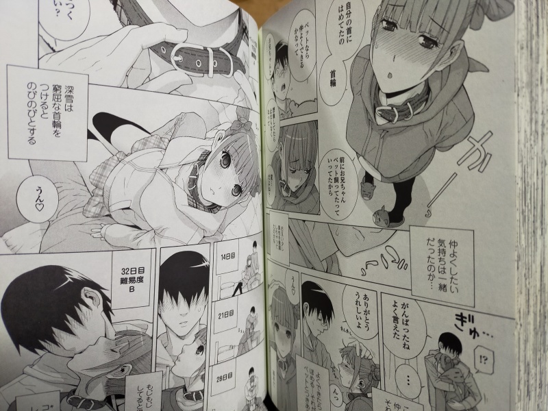 FANZAで1月20日まで半額!「義妹処女幻想」
シリーズ3作目の名作揃い!首輪をつけてあげるとなつく義妹がでてきます。
ちと古いけどね。
https://t.co/FBUZvbNyix 