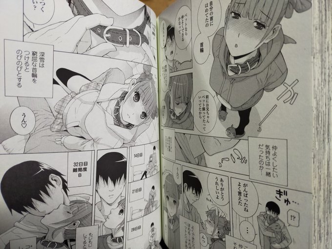 FANZAで1月20日まで半額!「義妹処女幻想」
シリーズ3作目の名作揃い!首輪をつけてあげるとなつく義妹がでてきます。
ちと古いけどね。
https://t.co/FBUZvbNyix 