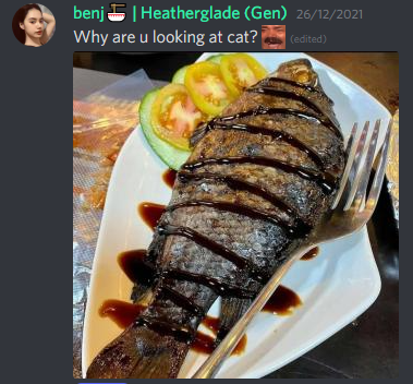 EGO_DAO's tweet photo. Special shoutout to benj's cat 🤣 https://t.co/tPthSoaDkF