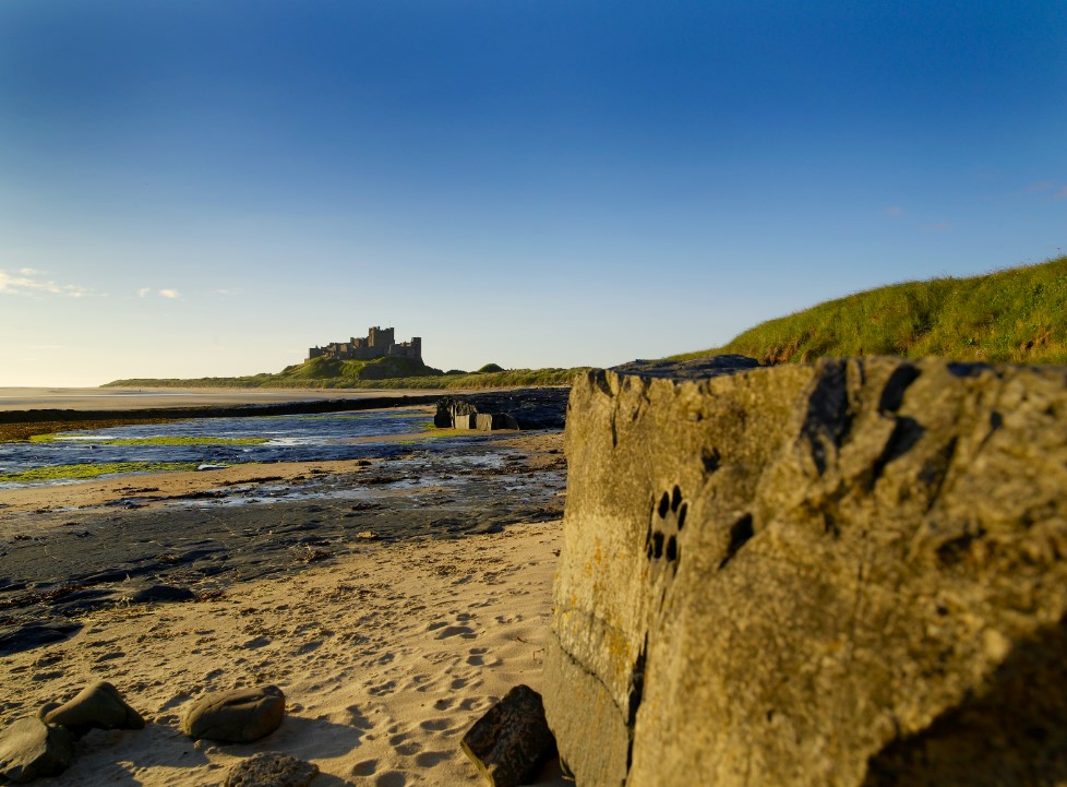 altweet_pet's tweet photo. @nytimes A stunning coast, serene countryside &amp; rich in heritage, Northumberland is a great area to discover when visiting NewcastleGateshead.

Not to mention a range of events and activities are going on in the region this year to mark the iconic 1900th anniversary of Hadrian's Wall ✨ https://t.co/QSo5XNb0zh