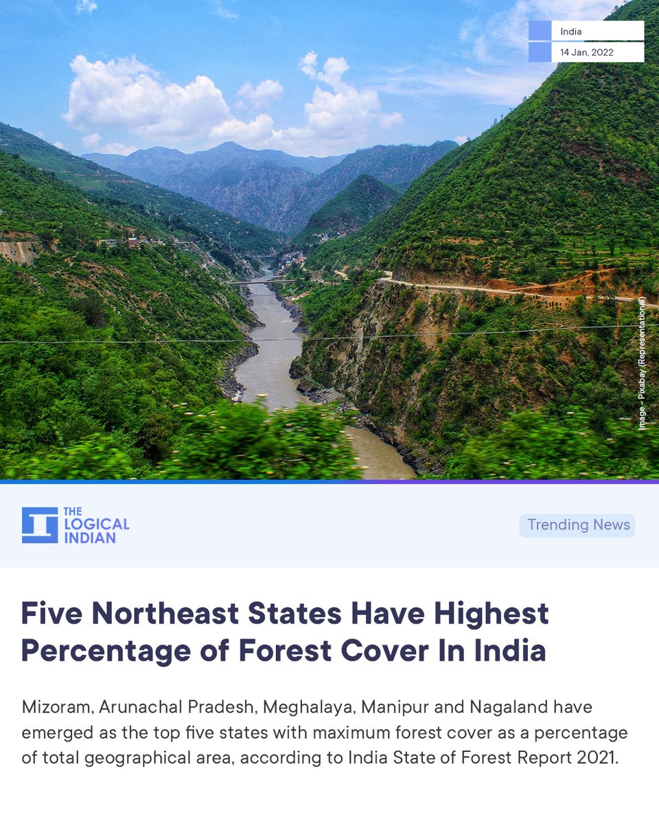 LogicalIndians's tweet photo. #GoGreen - As many as five #northeastern states in the country have the highest percentage of forest cover in terms of total geographical area, according to the recently released official data.
 
#forestsindia ##sustainability https://t.co/e8116oqkky