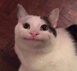 i see no difference t___t
#정수 #Jungsu