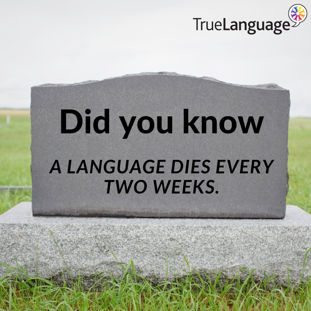 TrueLanguage tweet media