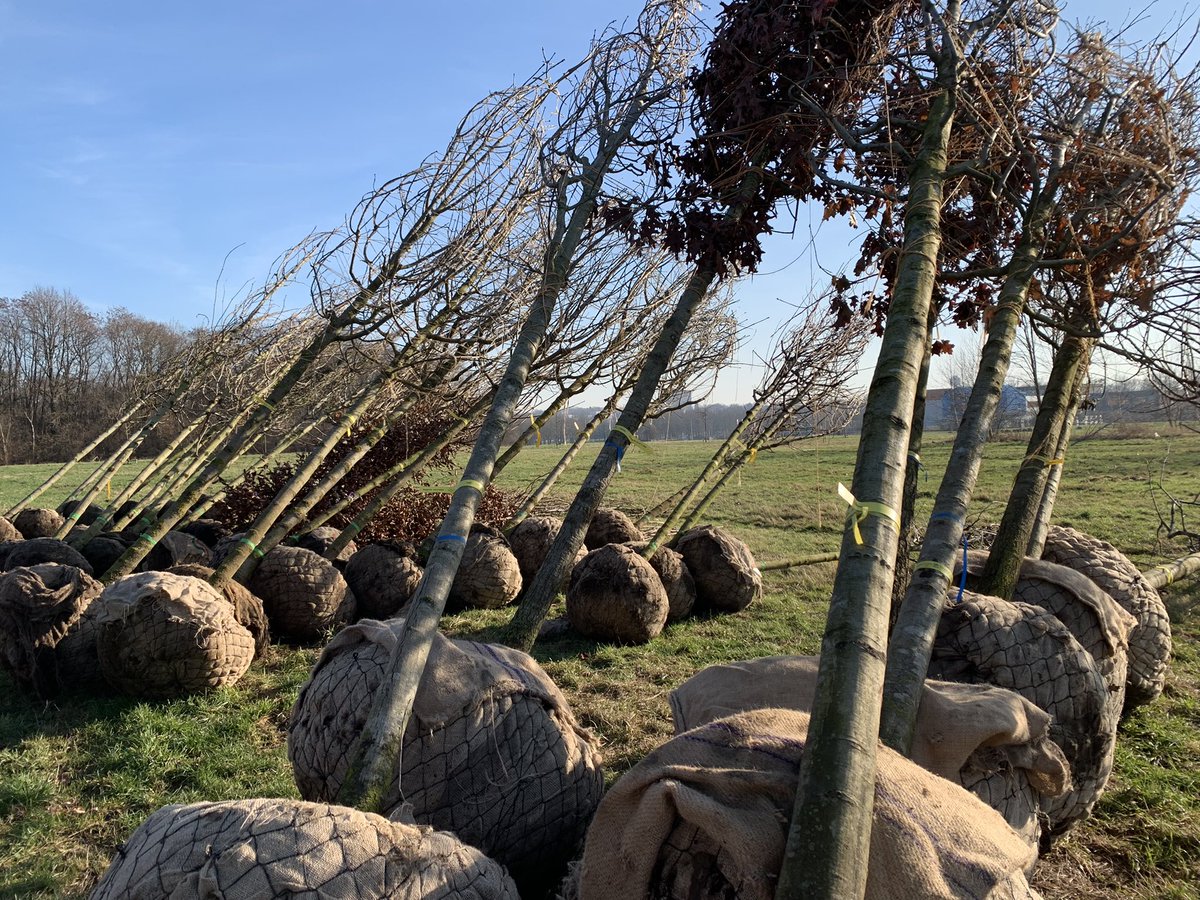 Dolmans Landscaping tweet media