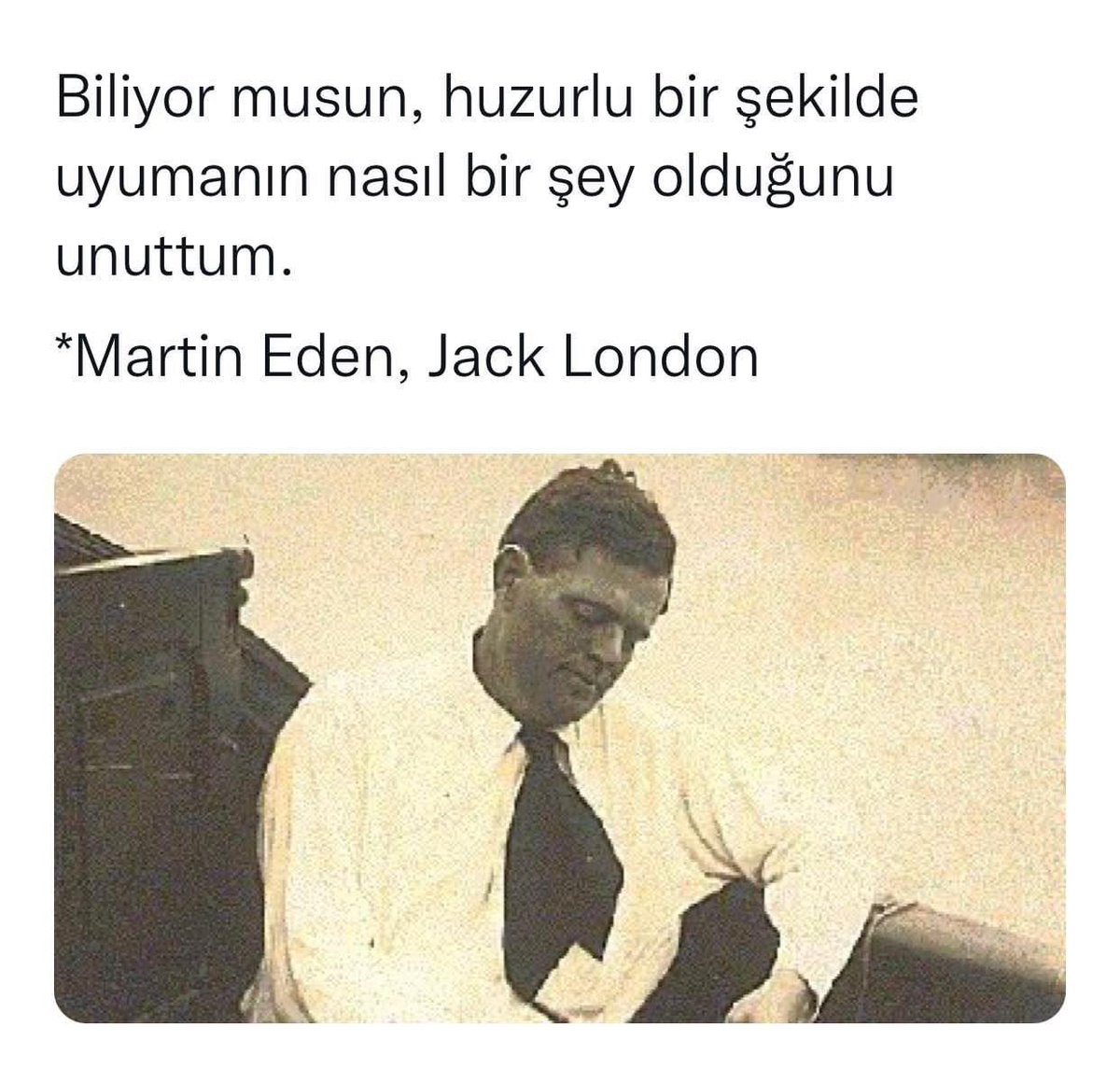 Gülbey Kose (@kose_zek) on Twitter photo 
