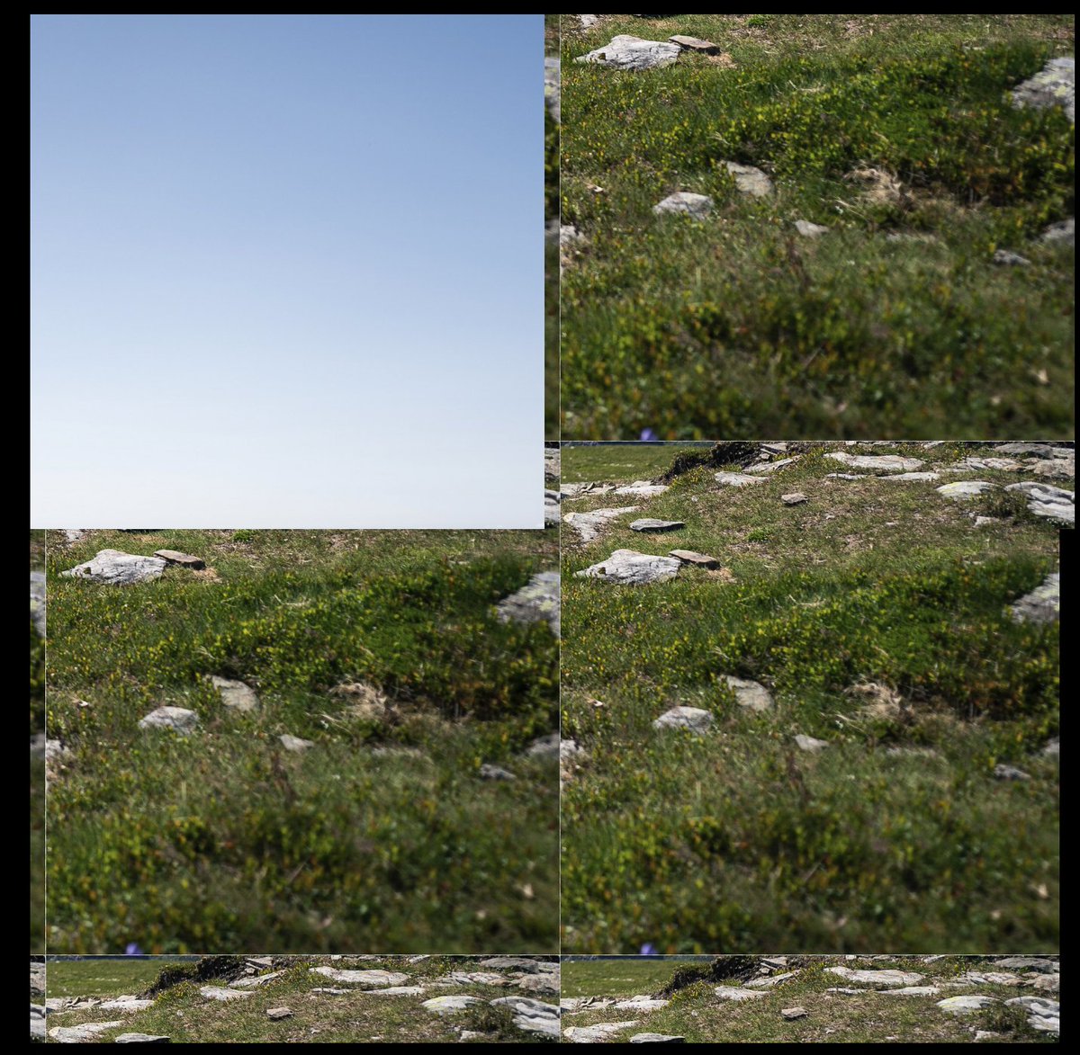 Stuart Weston tweet media