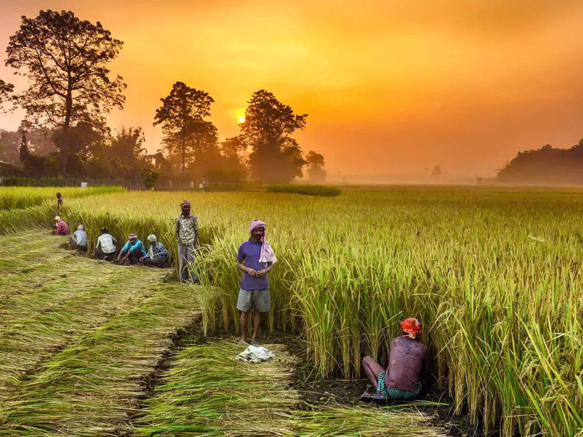 back_benchers_1's tweet photo. One of the major festivals celebrated with much pomp in India, Makar Sankranti holds great significance for Hindus. The festival is considered auspicious for tenacity, worship, charity and sacrifice in the scriptures. 

HAPPY MAKER SANKRANTI TO ALL Twitter MEMBERS https://t.co/PO5cm2TuGe