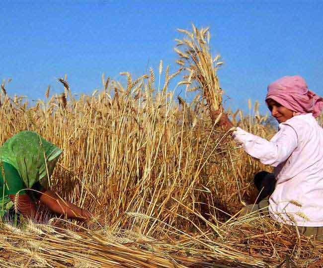 back_benchers_1's tweet photo. One of the major festivals celebrated with much pomp in India, Makar Sankranti holds great significance for Hindus. The festival is considered auspicious for tenacity, worship, charity and sacrifice in the scriptures. 

HAPPY MAKER SANKRANTI TO ALL Twitter MEMBERS https://t.co/PO5cm2TuGe