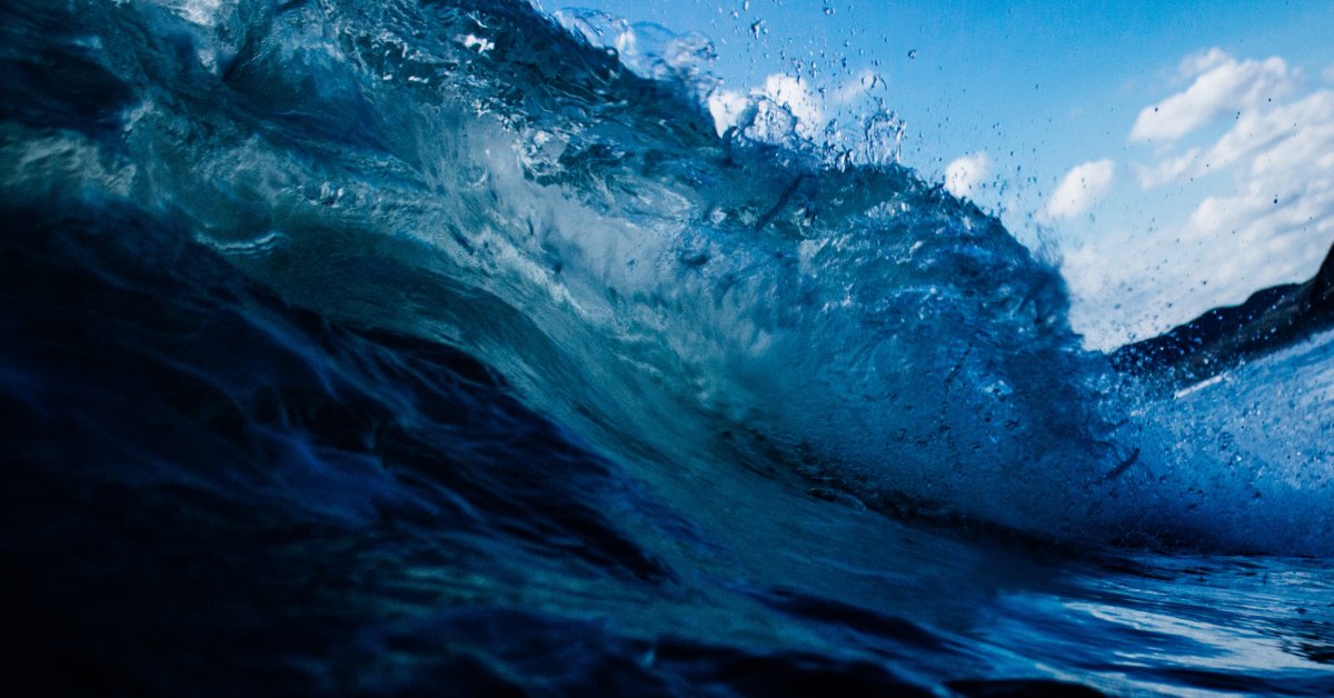 Our Friday Fave: “What we know is a drop, what we don’t know is an ocean.” Isaac Newton