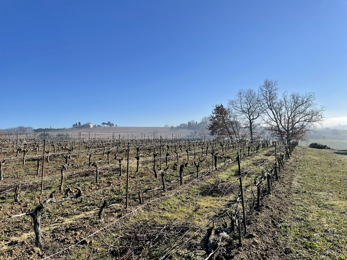 J_Denormandie's tweet photo. 📍 Dans le Tarn, auprès de viticulteurs et arboriculteurs touchés par le gel du printemps, afin de faire le point sur :
👉 le déploiement du plan Gel 
👉 les investissements avec #FranceRelance et #France2030
👉 la réforme en profondeur du système de couverture des risques https://t.co/lIUYQ8ZM1m
